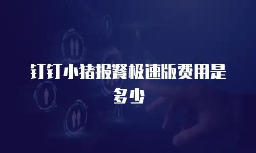 钉钉小猪报餐极速版费用是多少