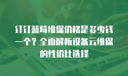 钉钉蓝莓维保价格是多少钱一个？全面解析设备云维保的性价比选择