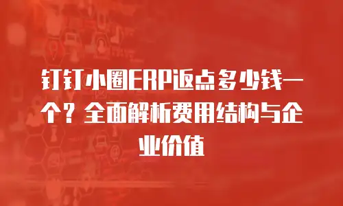 钉钉小圈ERP返点多少钱一个？全面解析费用结构与企业价值
