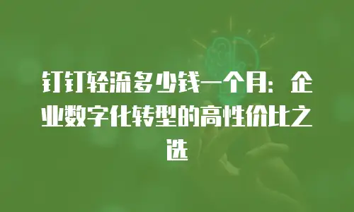 钉钉轻流多少钱一个月：企业数字化转型的高性价比之选