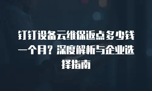 钉钉设备云维保返点多少钱一个月？深度解析与企业选择指南