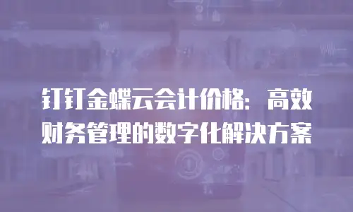 钉钉金蝶云会计价格：高效财务管理的数字化解决方案