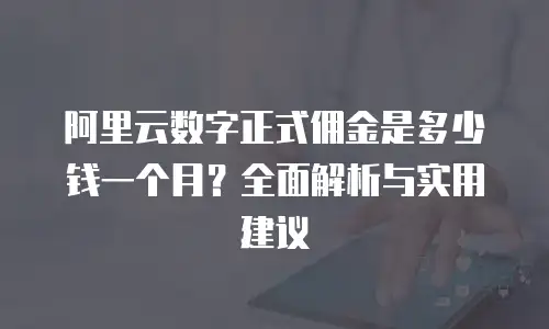 阿里云数字正式佣金是多少钱一个月？全面解析与实用建议
