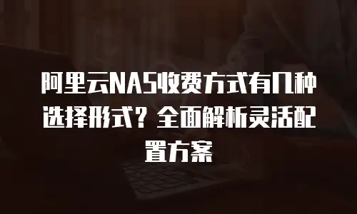 阿里云NAS收费方式有几种选择形式？全面解析灵活配置方案