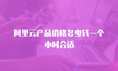 阿里云产品价格多少钱一个小时合适