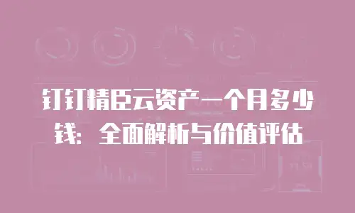 钉钉精臣云资产一个月多少钱：全面解析与价值评估