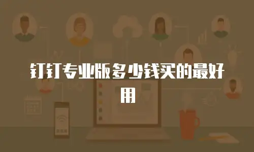 钉钉专业版多少钱买的最好用