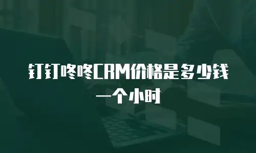 钉钉咚咚CRM价格是多少钱一个小时