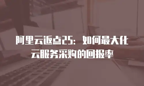 阿里云返点25：如何最大化云服务采购的回报率