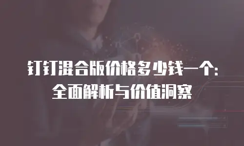 钉钉混合版价格多少钱一个：全面解析与价值洞察