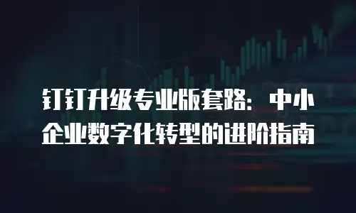 钉钉升级专业版套路：中小企业数字化转型的进阶指南