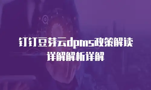 钉钉豆芽云dpms政策解读详解解析详解