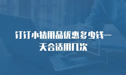 钉钉小猪用品优惠多少钱一天合适用几次