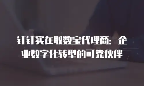 钉钉实在取数宝代理商：企业数字化转型的可靠伙伴