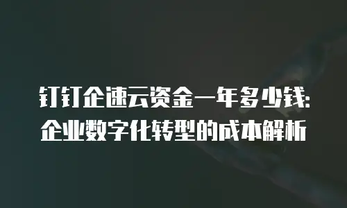 钉钉企速云资金一年多少钱：企业数字化转型的成本解析
