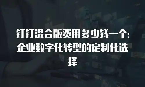 钉钉混合版费用多少钱一个：企业数字化转型的定制化选择