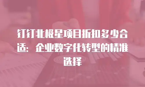 钉钉北极星项目折扣多少合适：企业数字化转型的精准选择