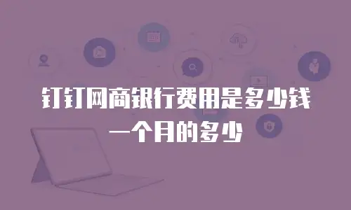 钉钉网商银行费用是多少钱一个月的多少