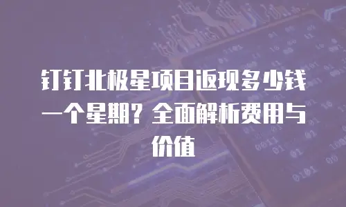 钉钉北极星项目返现多少钱一个星期？全面解析费用与价值