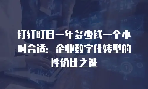 钉钉盯目一年多少钱一个小时合适：企业数字化转型的性价比之选