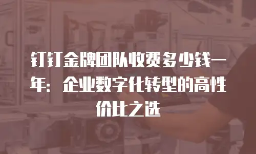 钉钉金牌团队收费多少钱一年：企业数字化转型的高性价比之选
