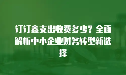 钉钉鑫支出收费多少？全面解析中小企业财务转型新选择
