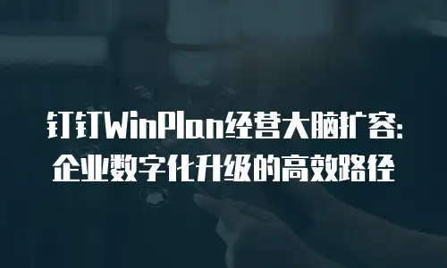 钉钉WinPlan经营大脑扩容：企业数字化升级的高效路径