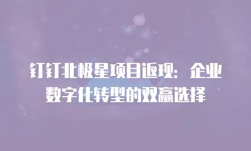 钉钉北极星项目返现：企业数字化转型的双赢选择