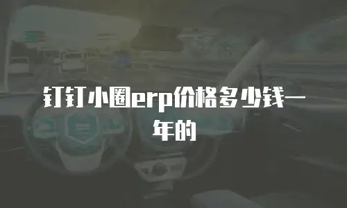钉钉小圈erp价格多少钱一年的