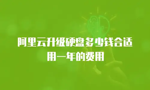 阿里云升级硬盘多少钱合适用一年的费用
