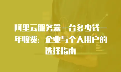 阿里云服务器一台多少钱一年收费：企业与个人用户的选择指南