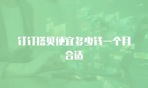 钉钉搭贝便宜多少钱一个月合适