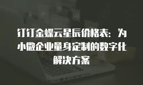 钉钉金蝶云星辰价格表：为小微企业量身定制的数字化解决方案