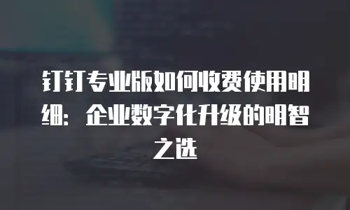 钉钉专业版如何收费使用明细：企业数字化升级的明智之选