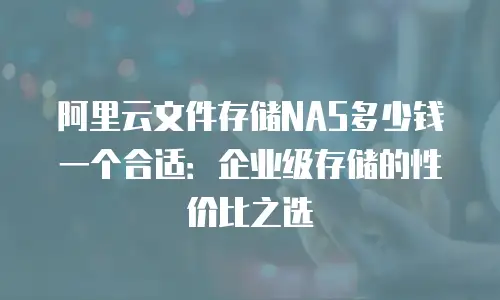 阿里云文件存储NAS多少钱一个合适：企业级存储的性价比之选