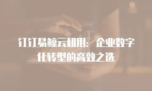 钉钉易鲸云租用：企业数字化转型的高效之选