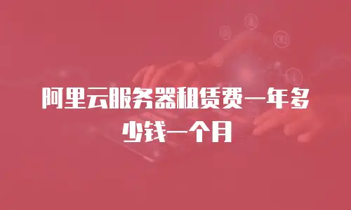 阿里云服务器租赁费一年多少钱一个月