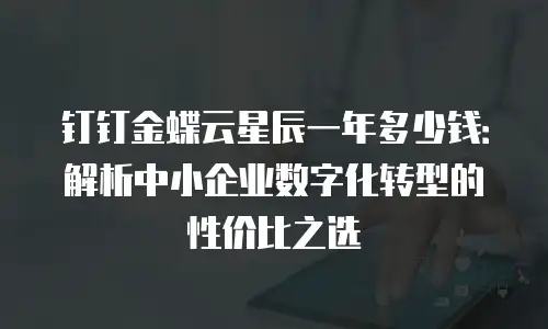 钉钉金蝶云星辰一年多少钱：解析中小企业数字化转型的性价比之选