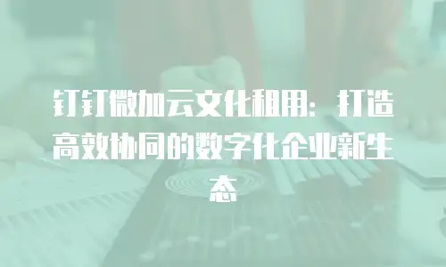 钉钉微加云文化租用：打造高效协同的数字化企业新生态