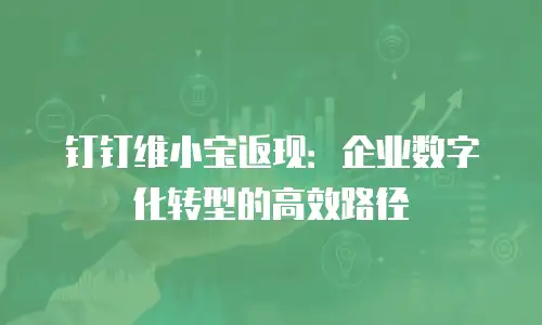 钉钉维小宝返现：企业数字化转型的高效路径