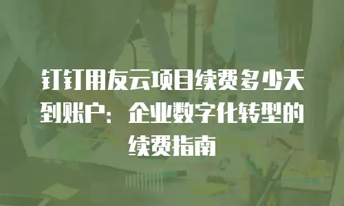 钉钉用友云项目续费多少天到账户：企业数字化转型的续费指南