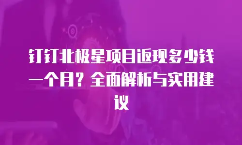 钉钉北极星项目返现多少钱一个月？全面解析与实用建议