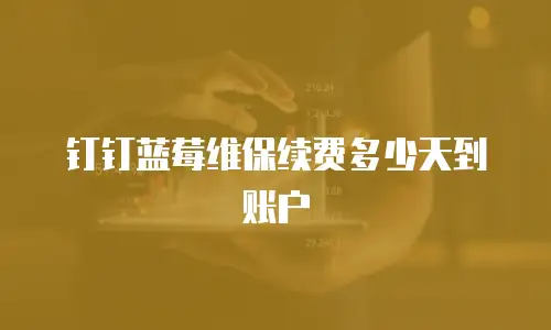 钉钉蓝莓维保续费多少天到账户