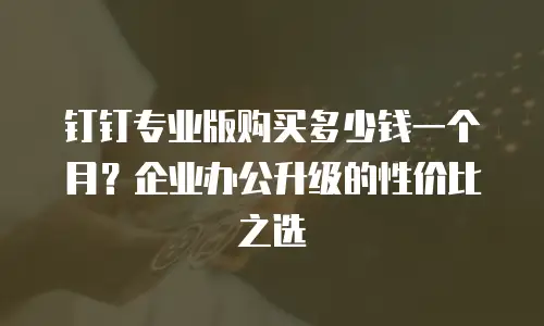 钉钉专业版购买多少钱一个月？企业办公升级的性价比之选