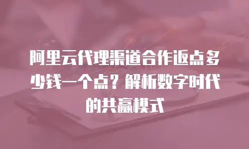 阿里云代理渠道合作返点多少钱一个点？解析数字时代的共赢模式