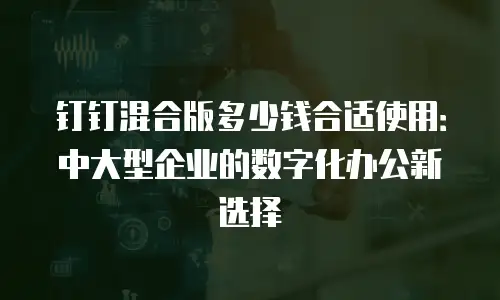 钉钉混合版多少钱合适使用：中大型企业的数字化办公新选择