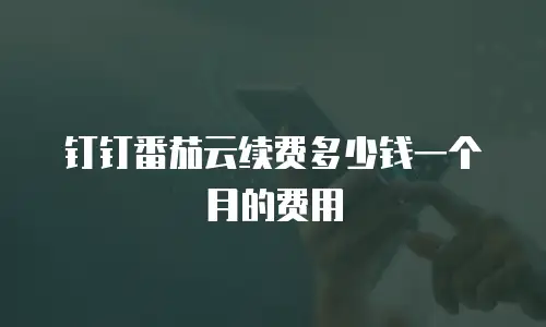 钉钉番茄云续费多少钱一个月的费用