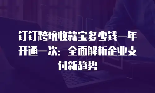 钉钉跨境收款宝多少钱一年开通一次：全面解析企业支付新趋势