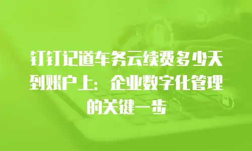 钉钉记道车务云续费多少天到账户上：企业数字化管理的关键一步