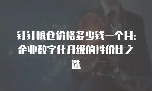 钉钉粮仓价格多少钱一个月：企业数字化升级的性价比之选